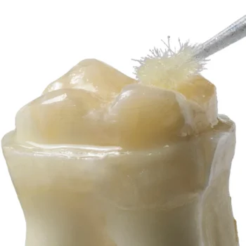 Dentsply Prime & Bond NT 3.5ml lowest price than ebay. dentalcare product usa