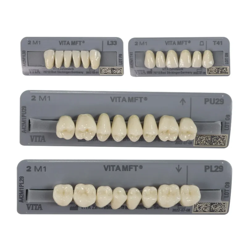 Vita MFT Denture Teeth 2M1 (Set of 28) | Dental Product At Lowest Price