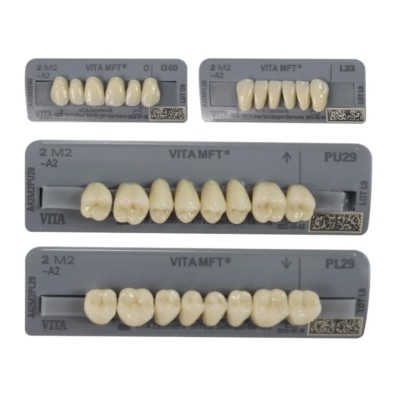 Vita MFT Denture Teeth 2M2 (Set of 28) | Dental Product At Lowest Price