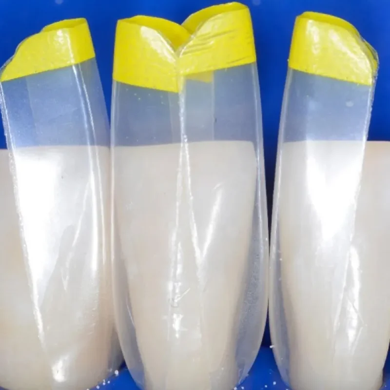 Bioclear Black Triangle Procedure Matrix System Kit | Dental Product at Lowest Price