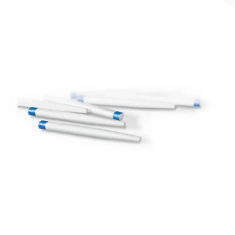 Dentsply EasyPost Blister (10 Pcs) | Dental Product at Lowest Price