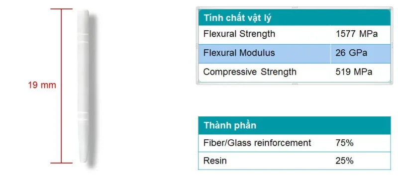 Coltene Tenax Fibre Posts Translu cent - Refills| Lowest Price