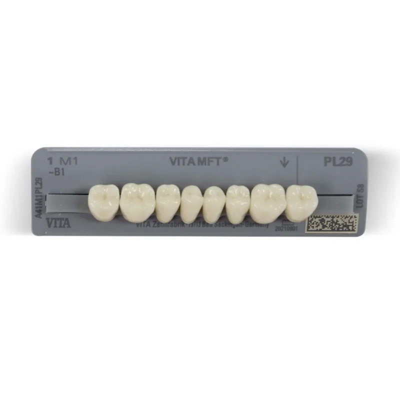 Vita MFT Denture Teeth 1M1 (Set of 28) - Image 3