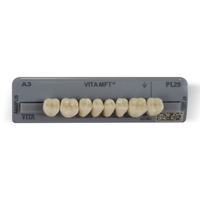 Vita MFT Denture Teeth A3 (Set of 28) - Image 5