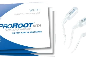 Dentsply Proroot MTA 0.5 Gm - Image 4
