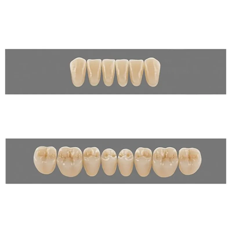 Vita MFT Denture Teeth A3 (Set of 28) - Image 3